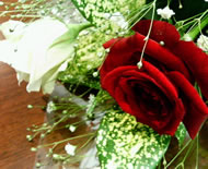 �o���̓L���C�ł��B