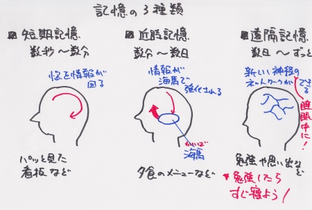 武井咲と柳田理科雄のラジオ空想科学研究所